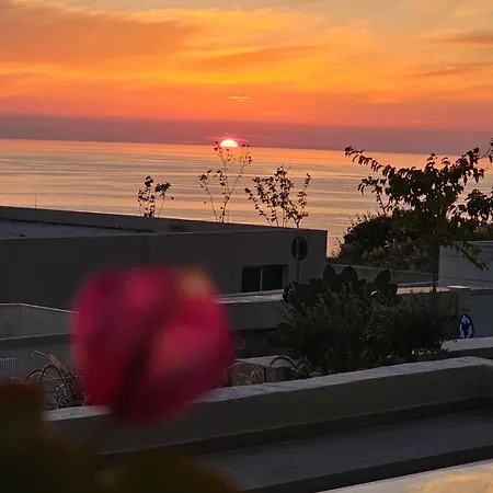 Champagne Coast *